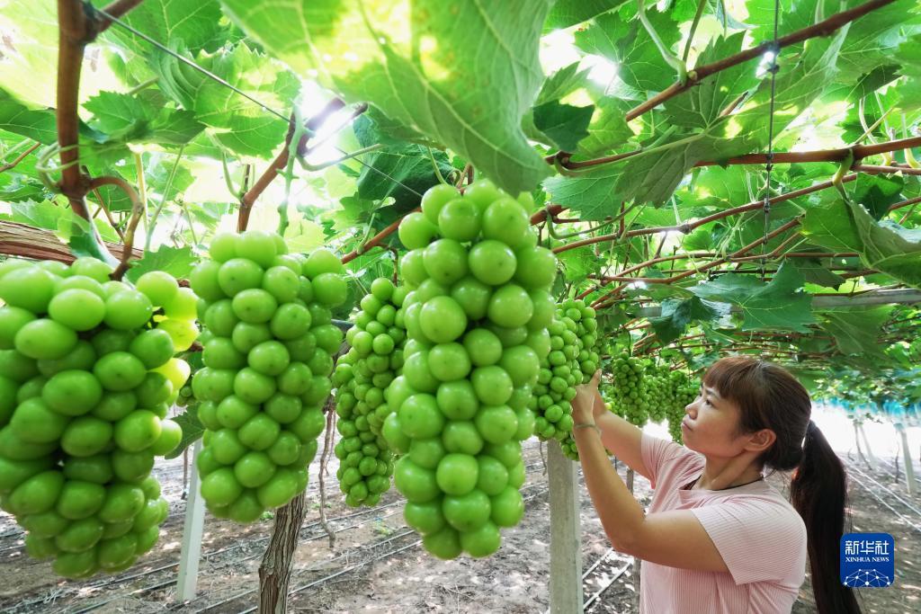 mg注册网站
